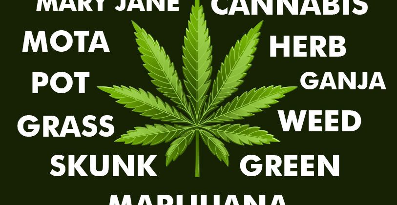 A List Of Adorable Weed Nicknames