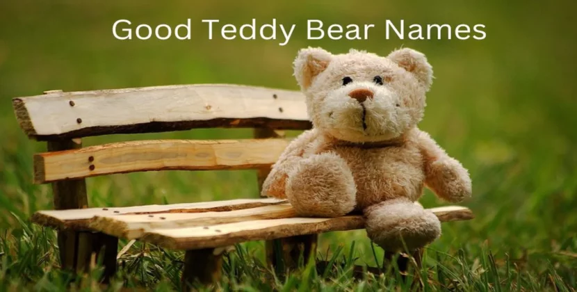How to Select Good Teddy Bear Names – Tips, Ideas, And Inspiration