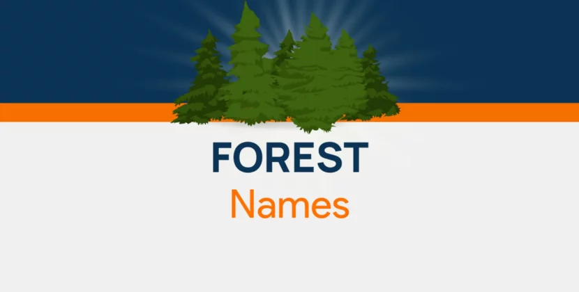Unveiling Nature’s Majesty: Inspiring Forest Name Ideas