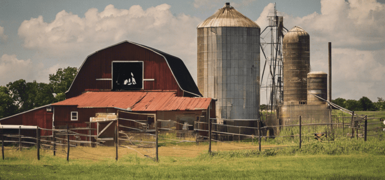 Exploring Good Day Farm in Joplin, MO: A Must-Visit for Nature Lovers!